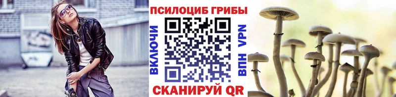 blacksprut рабочий сайт Трёхгорный Галлюциногенные грибы мицелий